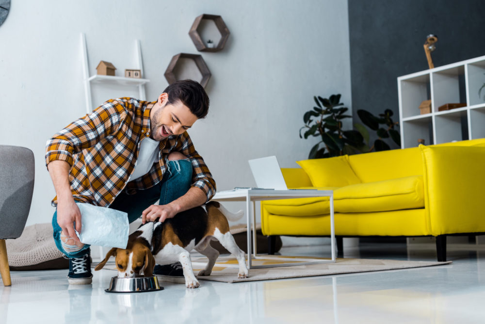 feeding dog with reclosable pet food package