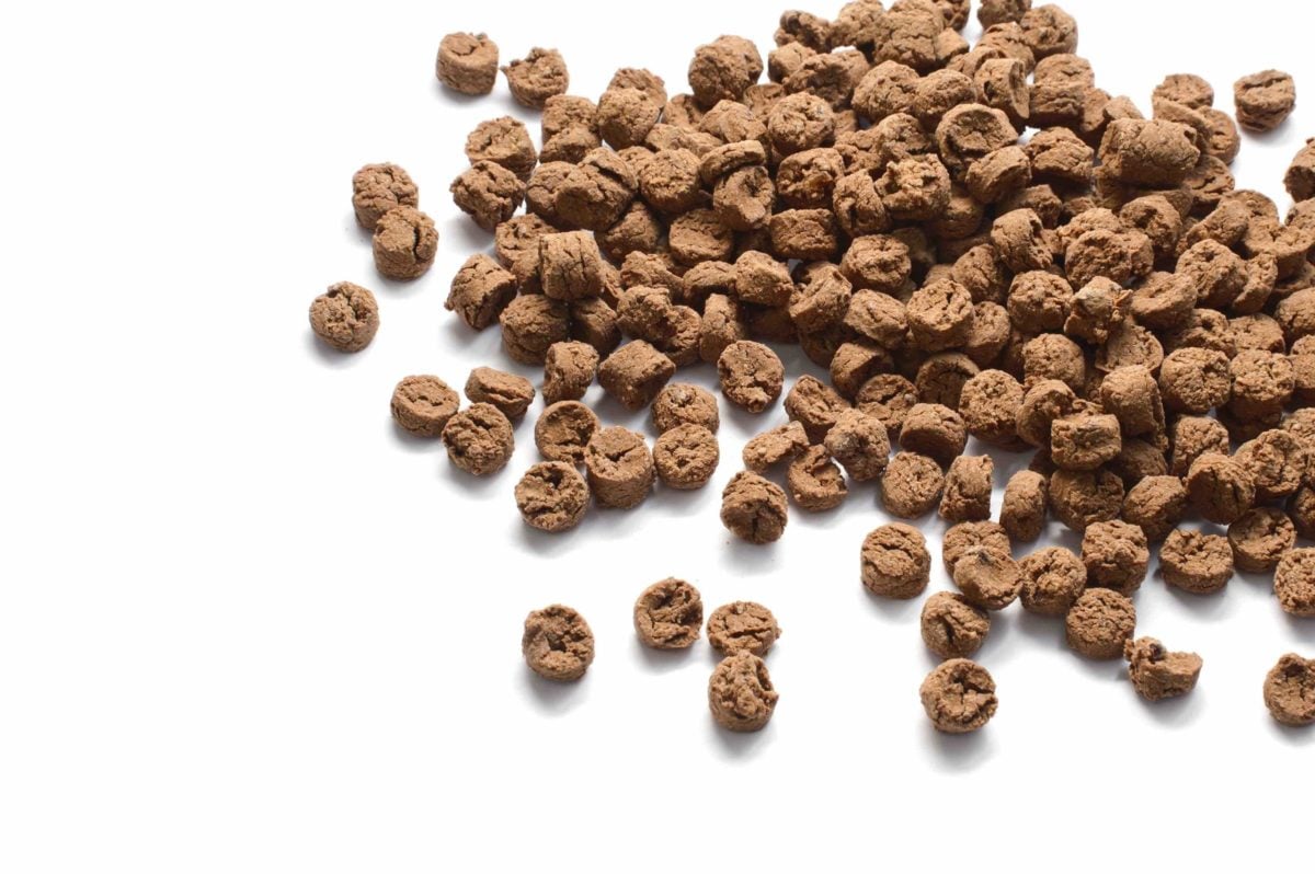 raw pet food kibble