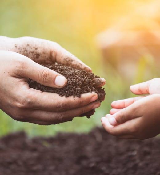 Composted dirt