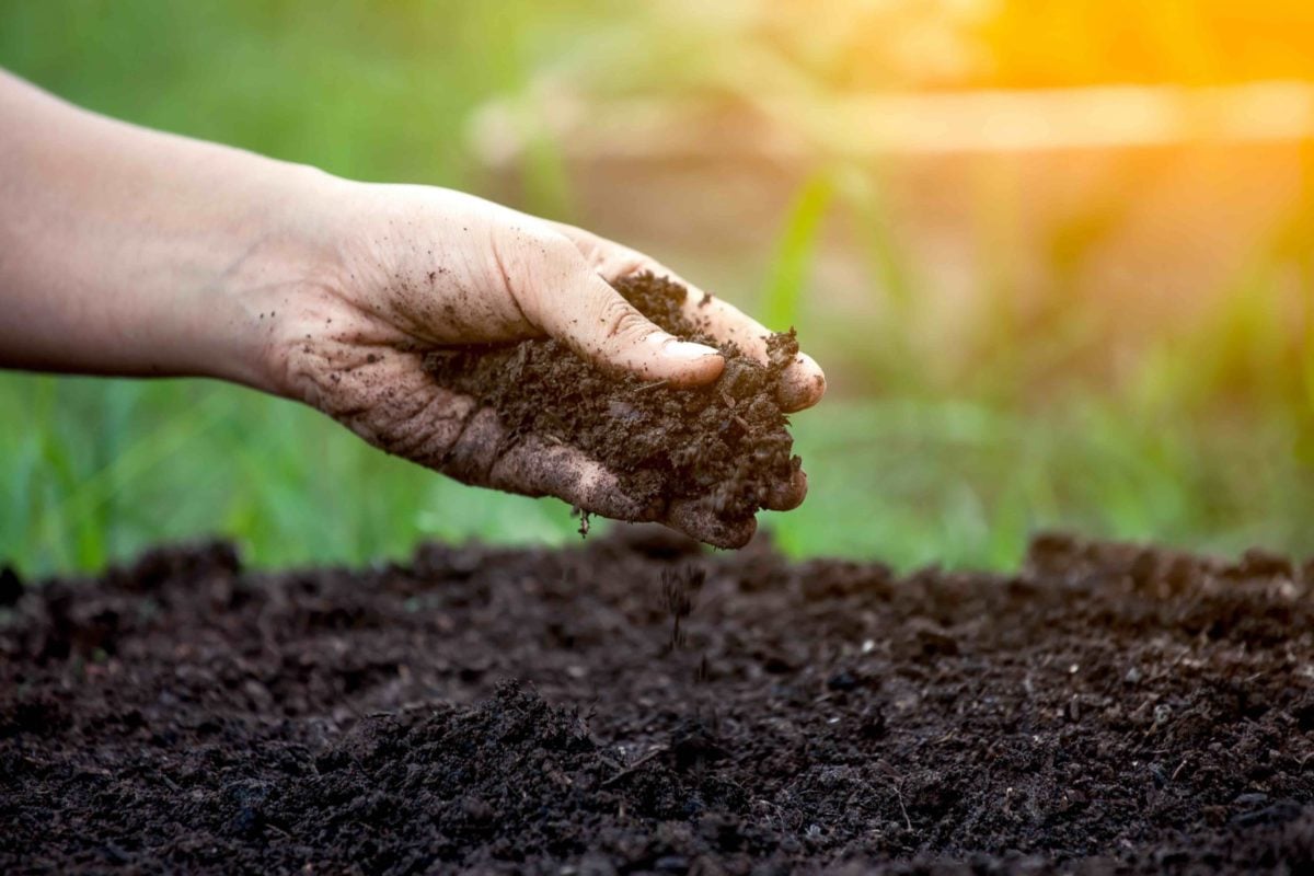 composting to dirt