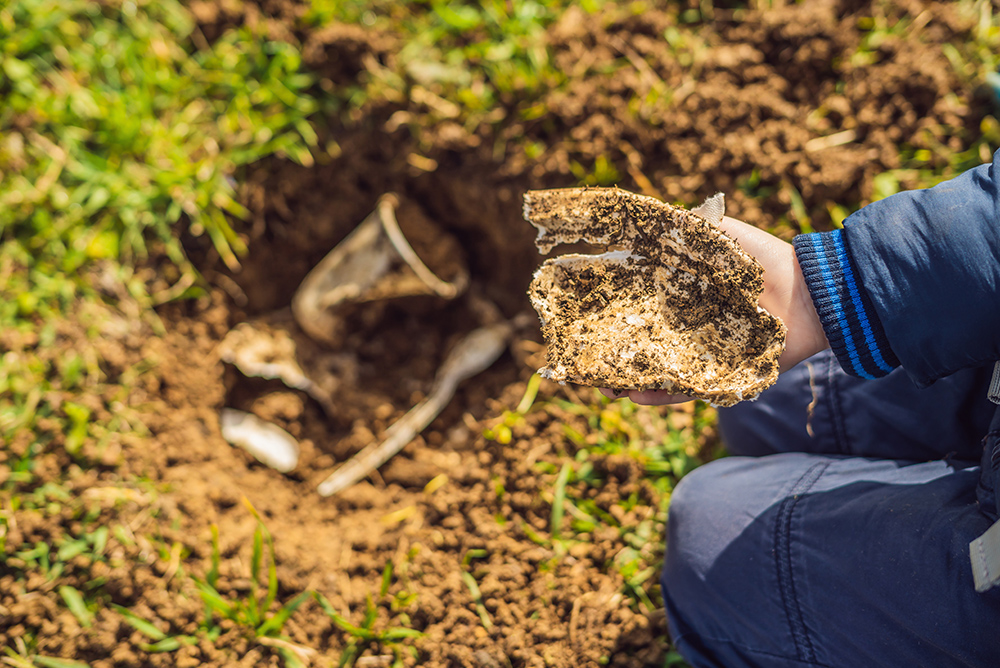 compostable material from packaging